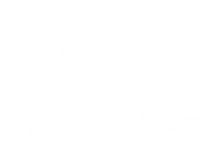 Aktive